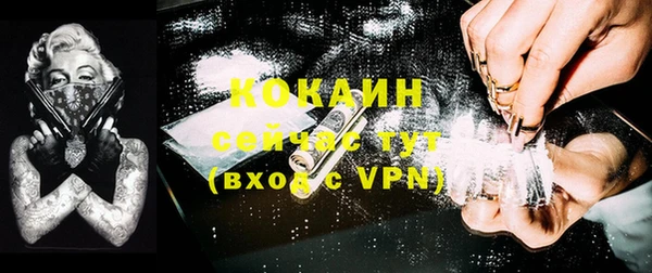 бошки Белокуриха