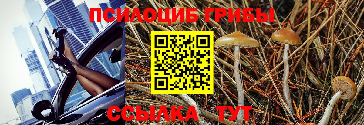 Псилоцибиновые грибы GOLDEN TEACHER  Вход с VPN  Сердобск 