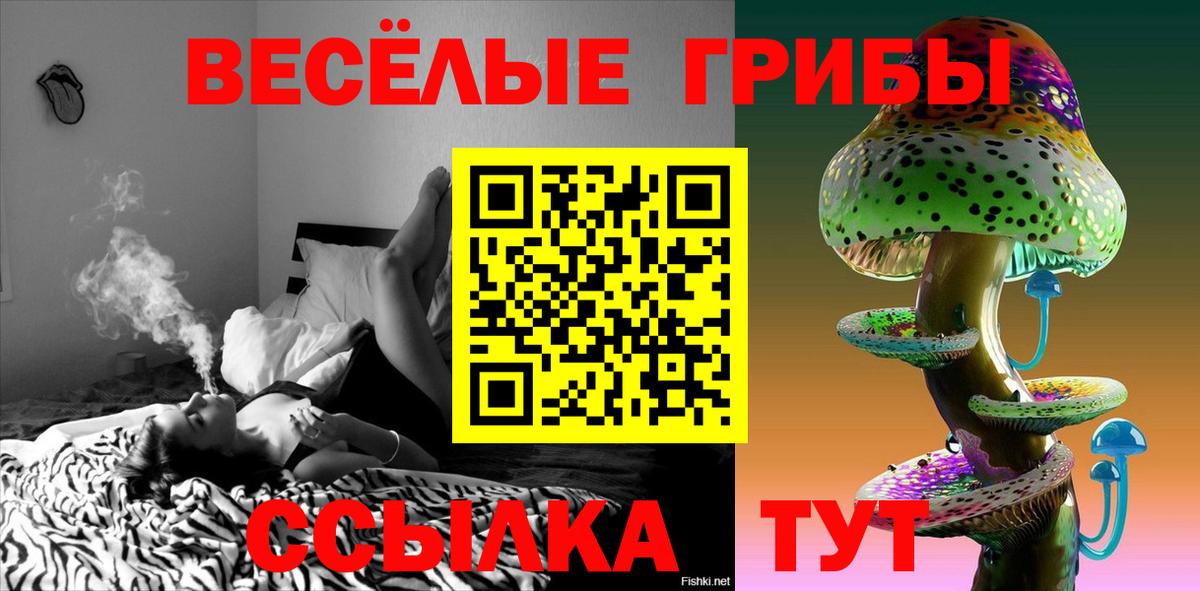 Псилоцибиновые грибы GOLDEN TEACHER Сердобск